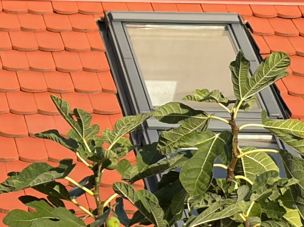 Apartman2
